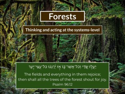 Image 2-5-26 at 3.54 PM